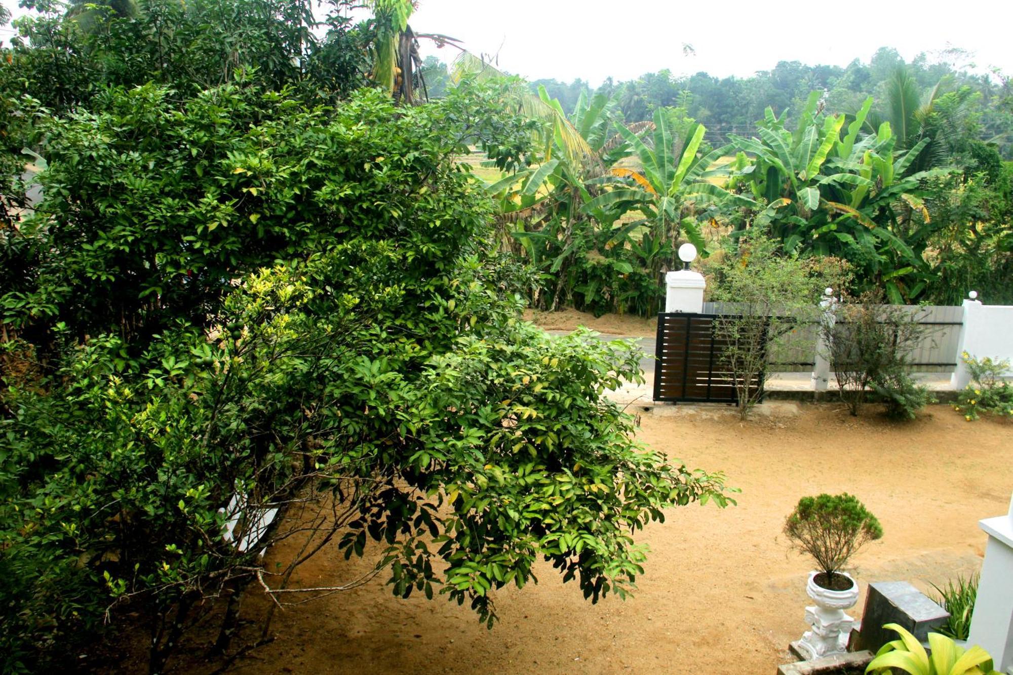 The Breeze Pinnawala ภายนอก รูปภาพ