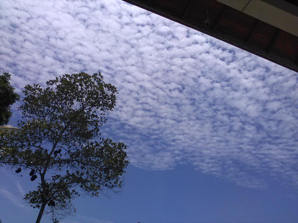 The Breeze Pinnawala ภายนอก รูปภาพ